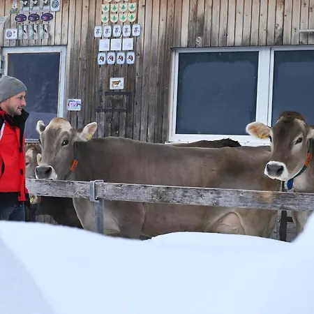 Apartman Greberhof *