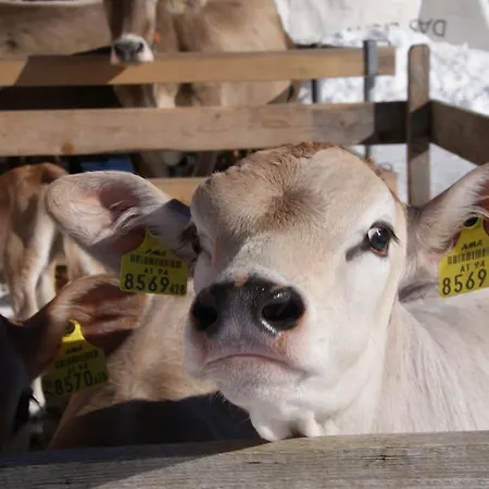 Greberhof דירה *