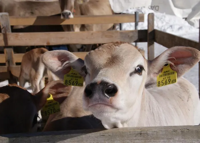 Greberhof Appartamento *